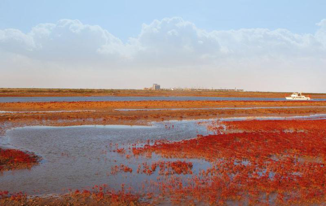 山东东营属于哪个市，东营最早属于哪个城市（什么是东营）