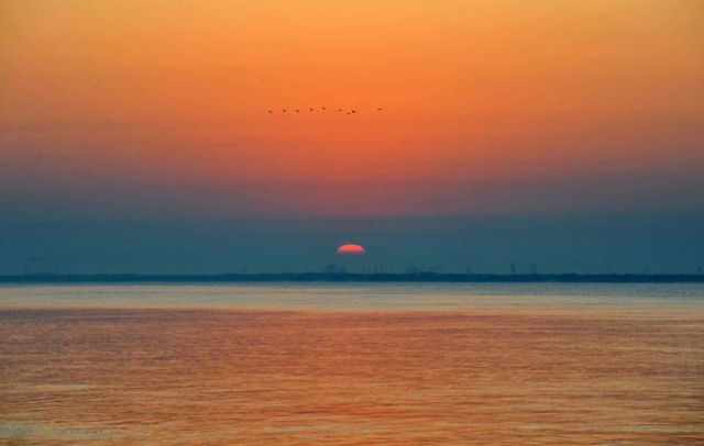 山东东营属于哪个市，东营最早属于哪个城市（什么是东营）