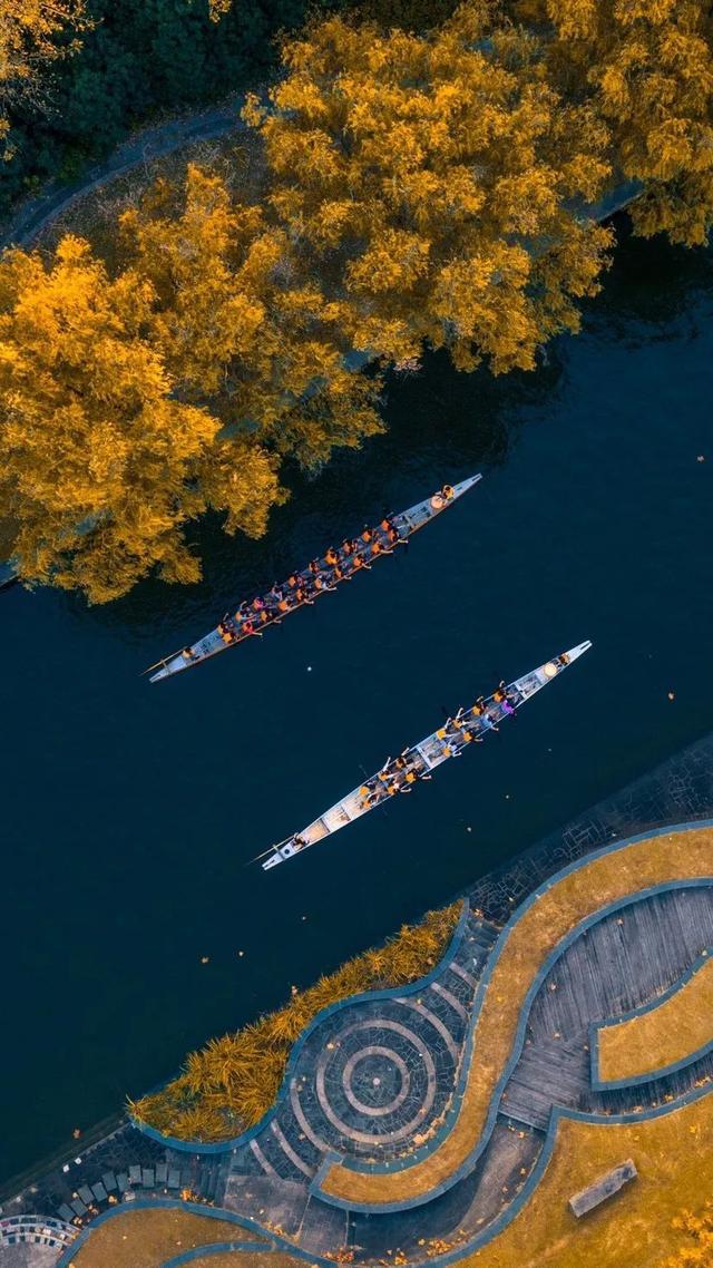 上海城建职业技术学院，2021年上海城建职业学院优势专业排名（沪上37所高校秋景手机壁纸来了）