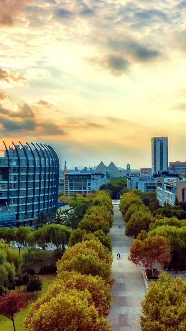 上海城建职业技术学院，2021年上海城建职业学院优势专业排名（沪上37所高校秋景手机壁纸来了）