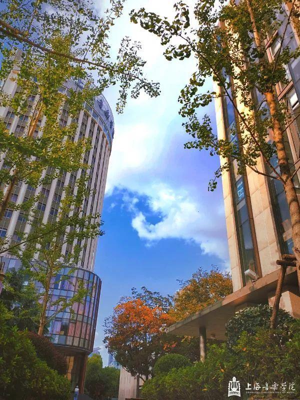 上海城建职业技术学院，2021年上海城建职业学院优势专业排名（沪上37所高校秋景手机壁纸来了）