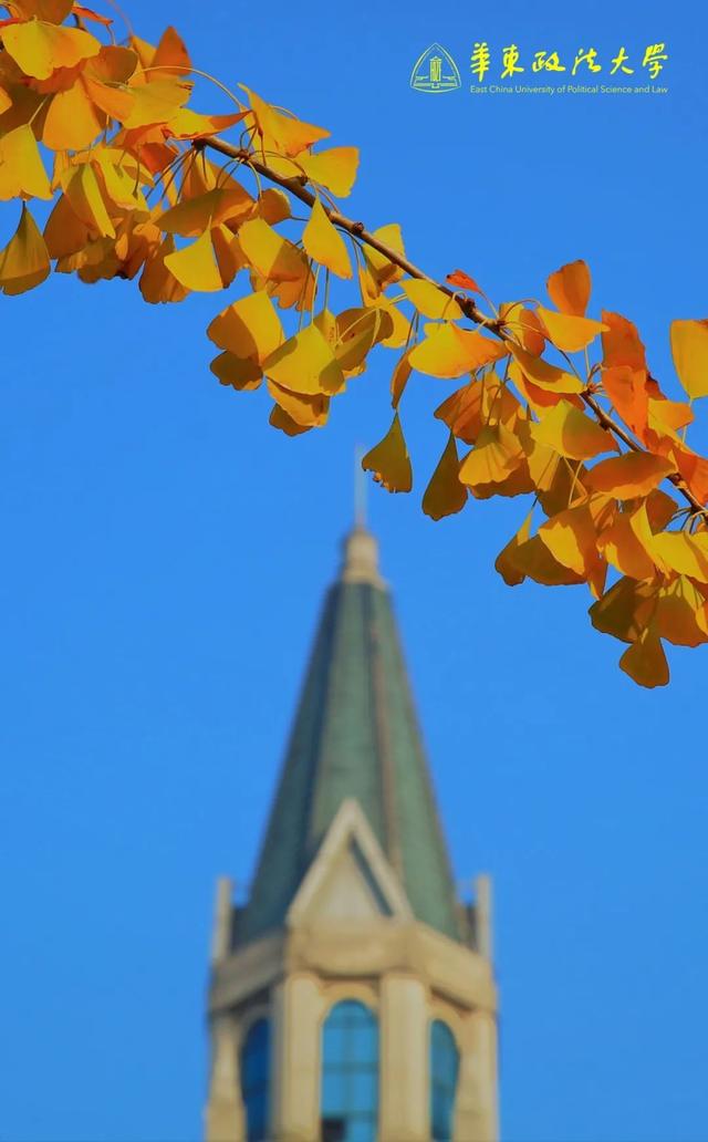 上海城建职业技术学院，2021年上海城建职业学院优势专业排名（沪上37所高校秋景手机壁纸来了）