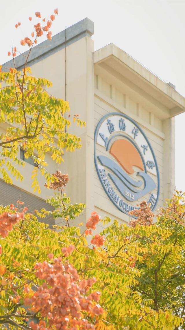 上海城建职业技术学院，2021年上海城建职业学院优势专业排名（沪上37所高校秋景手机壁纸来了）