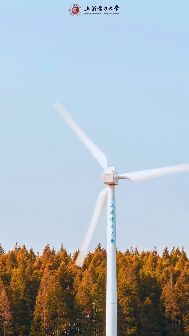 上海城建职业技术学院，2021年上海城建职业学院优势专业排名（沪上37所高校秋景手机壁纸来了）