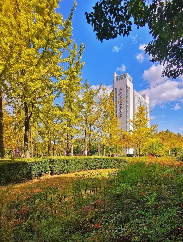 上海城建职业技术学院，2021年上海城建职业学院优势专业排名（沪上37所高校秋景手机壁纸来了）