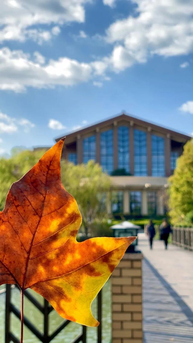 上海城建职业技术学院，2021年上海城建职业学院优势专业排名（沪上37所高校秋景手机壁纸来了）