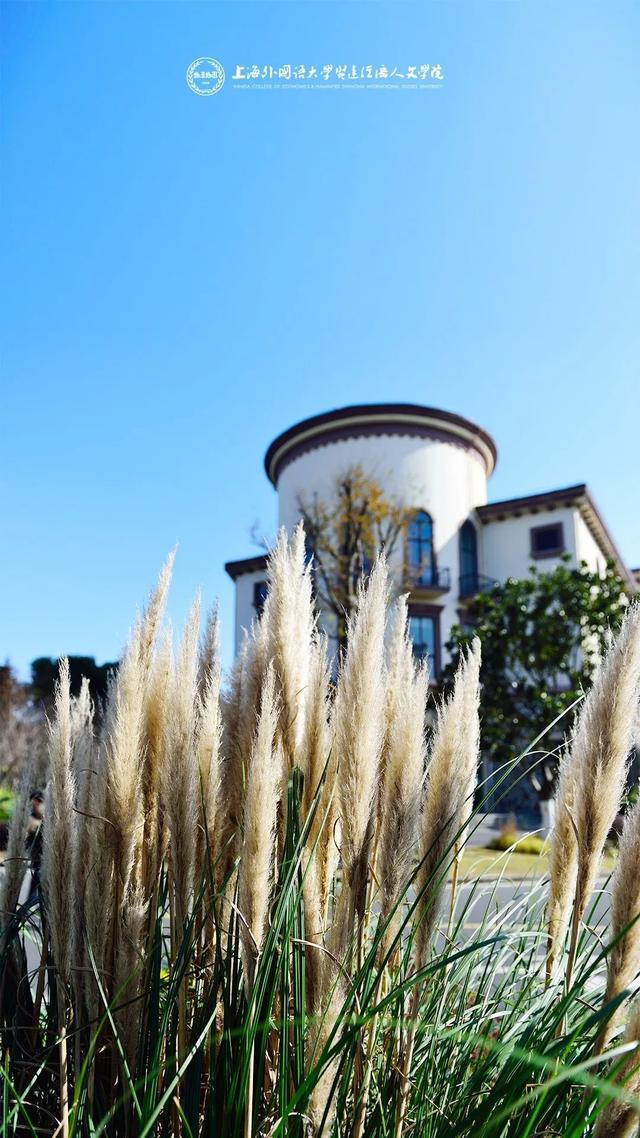 上海城建职业技术学院，2021年上海城建职业学院优势专业排名（沪上37所高校秋景手机壁纸来了）