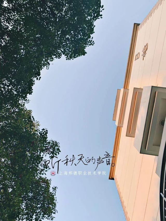 上海城建职业技术学院，2021年上海城建职业学院优势专业排名（沪上37所高校秋景手机壁纸来了）