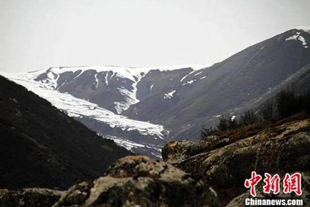 立冬为什么吃饺子，立冬吃饺子有什么意义（“立冬”为什么要吃饺子）