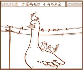 谷雨是什么时候，谷雨是什么节气（今日立冬丨那些我们听过）