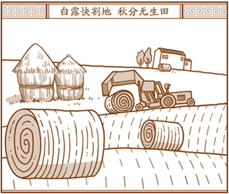 谷雨是什么时候，谷雨是什么节气（今日立冬丨那些我们听过）