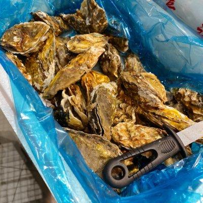 生蚝怎么蒸好吃，生蚝的做法蒸（学会这道蒜蓉生蚝）