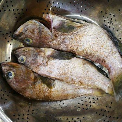 斑鱼汤的做法和功效，斑鱼煲汤有什么做法（10万豆友收藏的香浓石斑鱼汤做法）