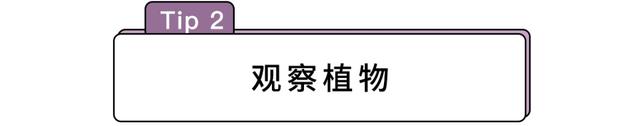 东南西北怎么分清，如何分辨东南西北（分清东南西北的N种大招~妈妈再也不用担心我迷路了）