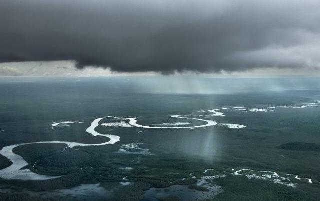 英语属于什么语系，英语属于哪个语系（最早的语系：没有人群迁徙）