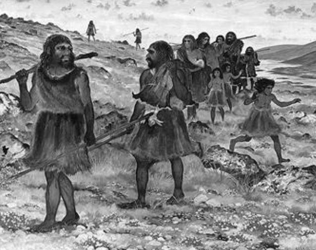 英语属于什么语系，英语属于哪个语系（最早的语系：没有人群迁徙）