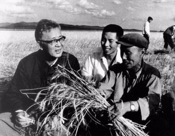 诞辰是什么意思，诞辰是什么意思是什么（华罗庚诞辰110周年丨今天）