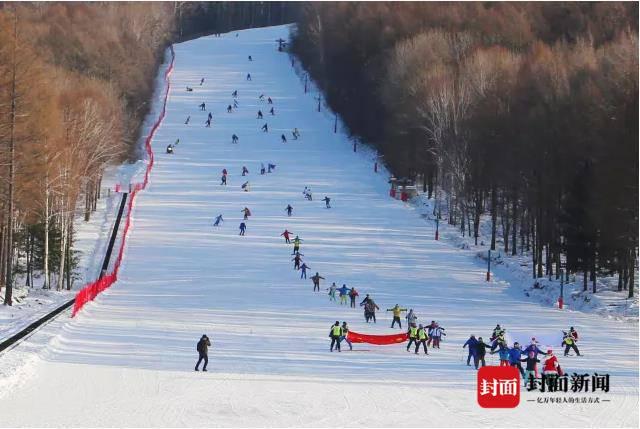 铁力市属于哪个市，铁力市有几个区（百城千县万村调研行丨黑龙江铁力市）