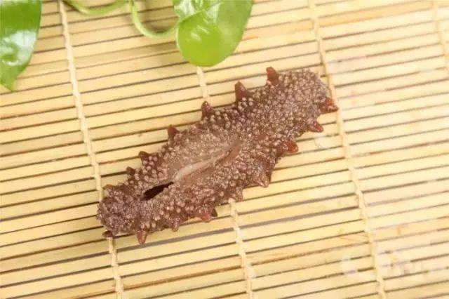 海参的挑选怎么挑 海参的挑选方式，海参的挑选怎么挑（这些挑海参的技能）
