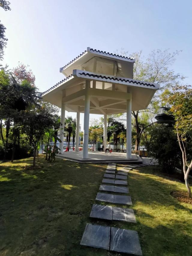 合肥市杏花公园全景，你好，杏花公园