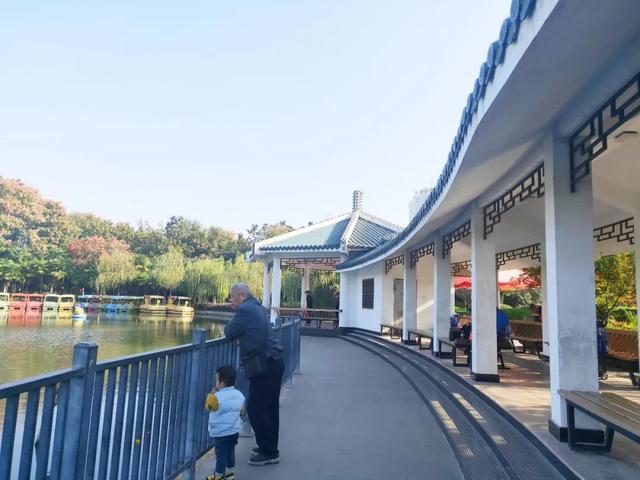 合肥市杏花公园全景，你好，杏花公园