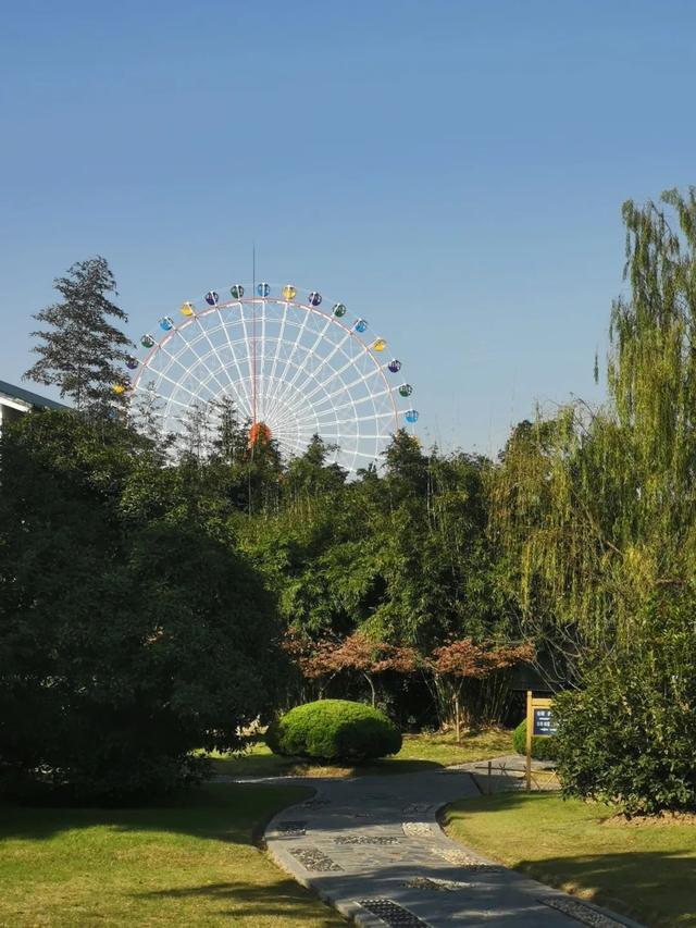 合肥市杏花公园全景，你好，杏花公园