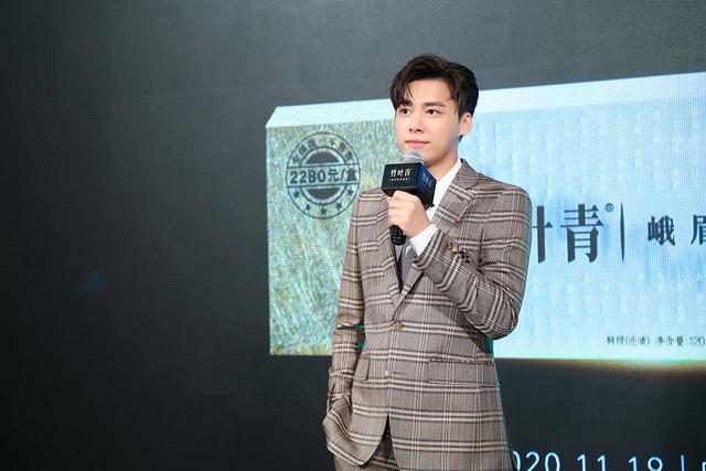 李易峰帅气图片，李易峰帅气图片高清（李易峰穿格纹西装单手插兜帅气有型）