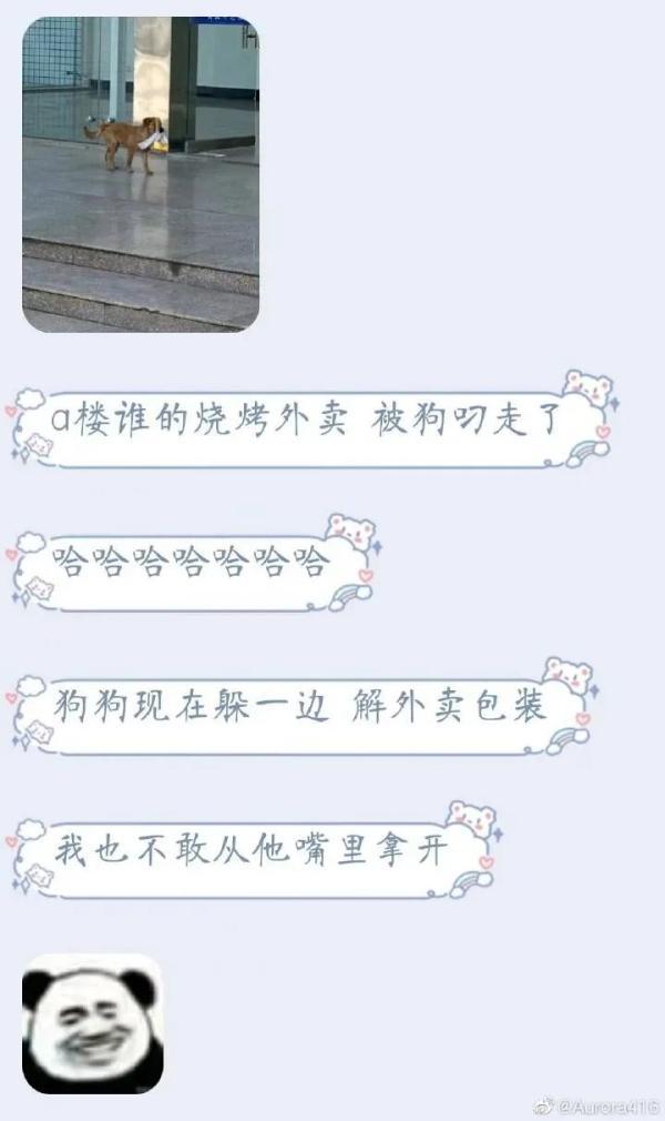 个性使用手机QQ照片墙，qq照片墙照片唯美图片（网友：哈哈哈哈笑到肚子疼）