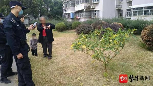 曼陀罗花刺有毒吗，小区惊现有毒“情花”