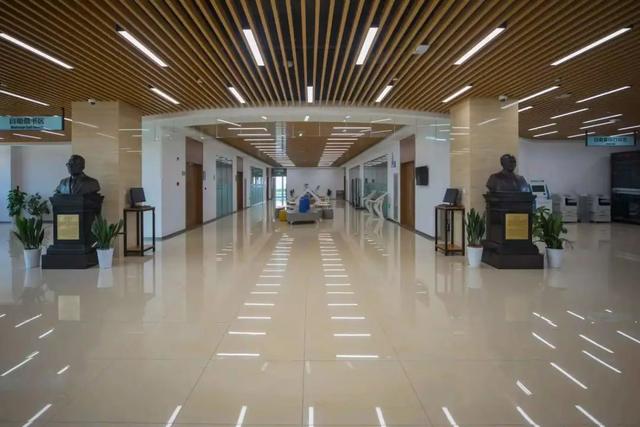 华东理工大学图书馆，华东理工大学图书馆对外开放吗（“云游”沪上37所高校图书馆）