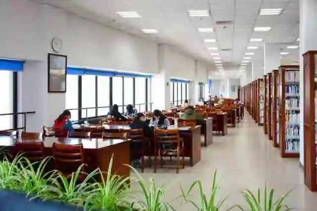 华东理工大学图书馆，华东理工大学图书馆对外开放吗（“云游”沪上37所高校图书馆）