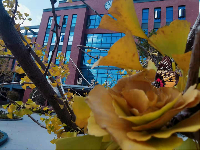 华东理工大学图书馆，华东理工大学图书馆对外开放吗（“云游”沪上37所高校图书馆）