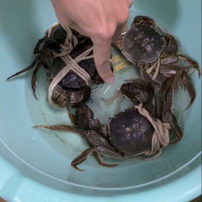 清蒸螃蟹的做法步骤，清蒸螃蟹的做法和步骤（#牛气冲天#超级鲜美的清蒸大闸蟹）