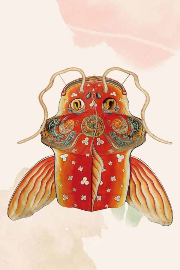 风筝的制作方法，教你如何制作风筝（这种风筝与曹雪芹有关）