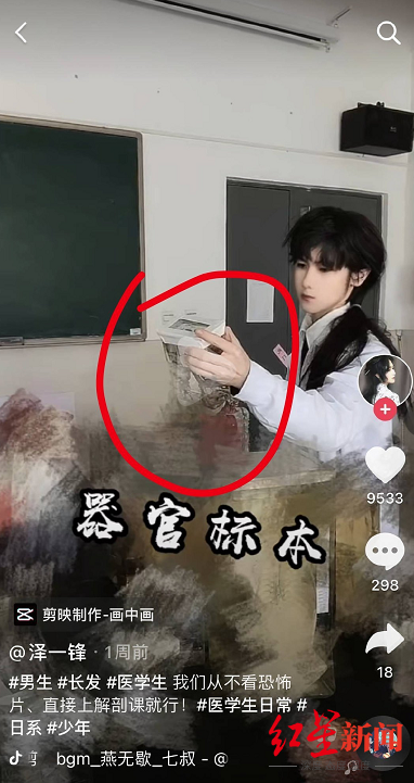 看看内脏是什么梗，看看内脏怎么怼（网红泽一锋回应“进解剖室摆拍”）