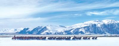 玉树海拔多少米高，玉树景点主要有哪些（在海拔4000多米的青海玉树）