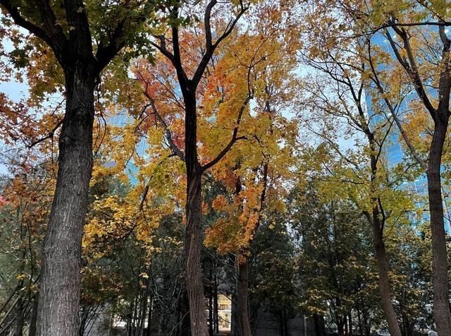 promax是什么手机，型号i13promax是什么手机（Pro还是选Max）