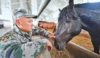 玉树海拔多少米高，玉树景点主要有哪些（在海拔4000多米的青海玉树）