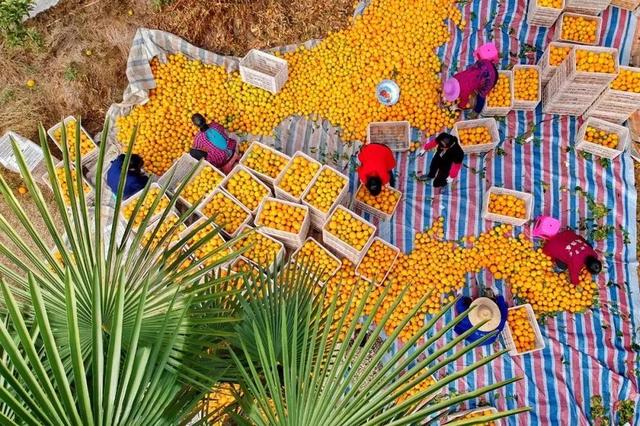 赣州有什么特产，赣州有哪些可以带走的特产（还有理由再低调吗）