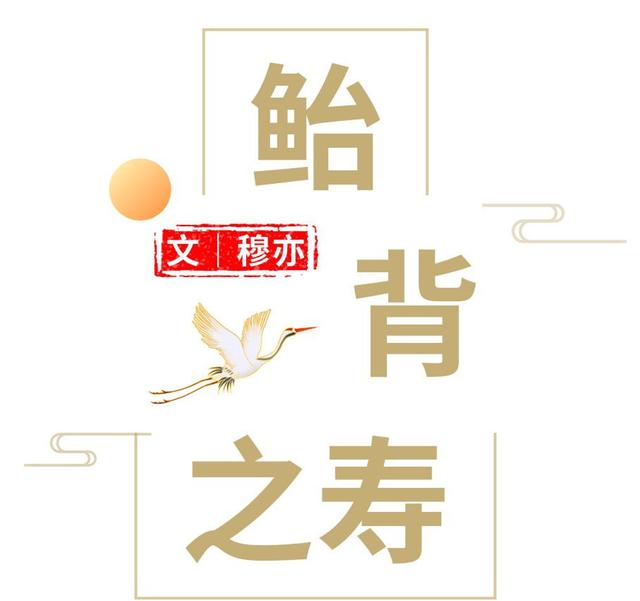 弱冠是多少岁，豆蔻是多少岁（鲐背之寿）