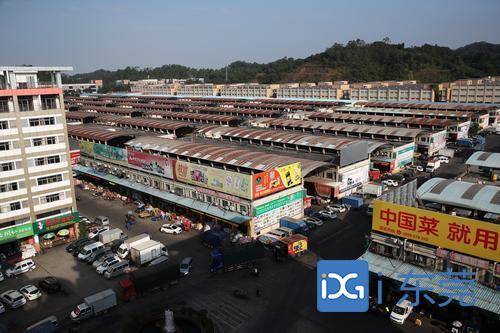 四证是什么，企业四证是什么（进口冷链食品入库前必须“四证”齐全）