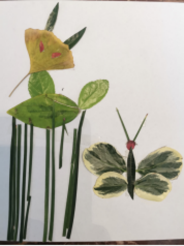 树叶造句一年级,我,好朋友,树叶造句一年级(下沙一小的孩子们让秋天"