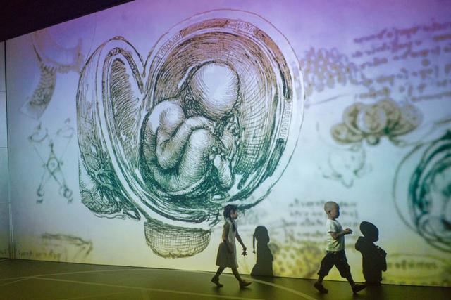 renaissance是什么意思，文艺复兴是什么意思（假如达·芬奇活在今天）