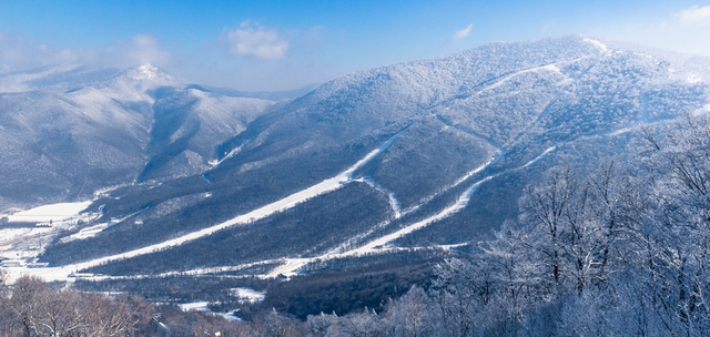 冬天东北旅游看雪、滑雪哪里好呢，冬天东北旅游看雪,滑雪哪里好呢（这个冬天Pick哪一个）