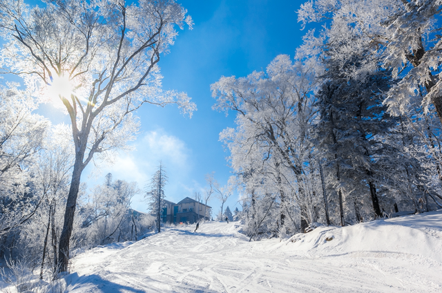冬天东北旅游看雪、滑雪哪里好呢，冬天东北旅游看雪,滑雪哪里好呢（这个冬天Pick哪一个）