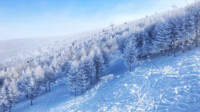 冬天东北旅游看雪、滑雪哪里好呢，冬天东北旅游看雪,滑雪哪里好呢（这个冬天Pick哪一个）