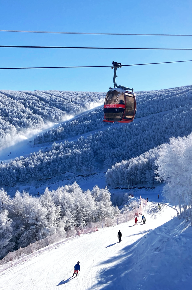 冬天东北旅游看雪、滑雪哪里好呢，冬天东北旅游看雪,滑雪哪里好呢（这个冬天Pick哪一个）