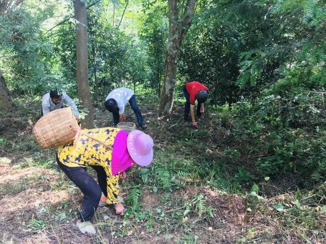 赣州有什么特产，赣州有哪些可以带走的特产（还有理由再低调吗）