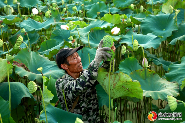 赣州有什么特产，赣州有哪些可以带走的特产（还有理由再低调吗）