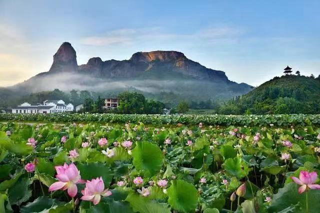 赣州有什么特产，赣州有哪些可以带走的特产（还有理由再低调吗）